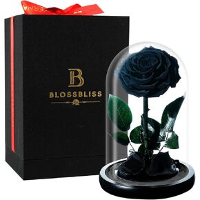 Preserved Flowers Real Black Rose in Glass Dome, Forever Flowers Gift for Wife, Mon, Daughter, Grandma, Eternal Flowers for Mothers Day, Valentine's Day, Thanksgiving Day, Birthday