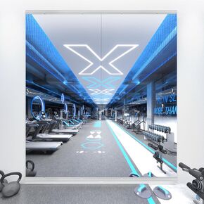 Gym Mirror, 56"X16" 2Pcs Home Gym Mirror, Large Frameless Miiror Wall, Tempered Glass Yoga Mirror, Full Body Mirror, Wall Mounted Mirror for Gym, Yoga, Studio, Dancing Studio, Living Room