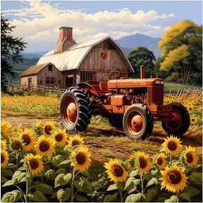 FHBUBPUP Farm Life Diamond Painting Kits for Adults, Rural Scenery Diamond Art for Beginners, 5D DIY Full Drill Round Gem Art Craft Home Wall Decor Gift 12x12 inch