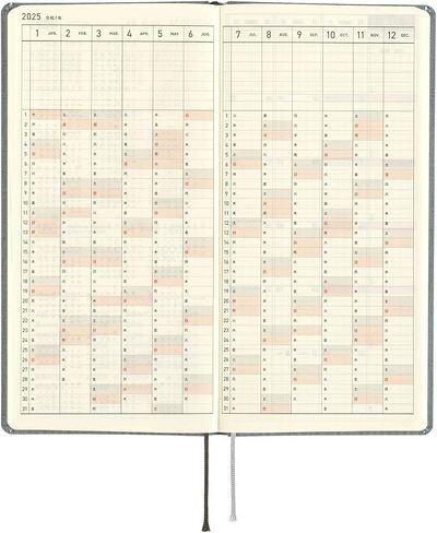 Hobonichi Techo 2025 Weeks MEGA [إنجليزي/طويل ونحيف الحجم/بداية يناير/مخطط] الألوان: فستق in Saudi Arabia