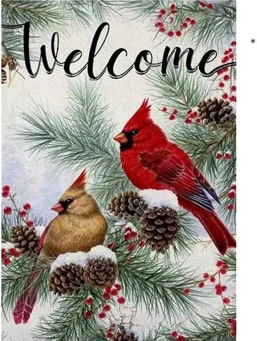 ZQEATRY 5D Winter Red Bird Diamond Art Kits for Adults,DIY Full Drill Welcome Cardinal Diamond Art Kits Diamond Crystal Rhinestone Embroidery Craft Kits for Home Wall Decor 12x16inch in Saudi Arabia