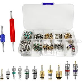 102 PCS Air Conditioning Valve Core Kit, A/C Refrigerator Tire Valve Stem Core Repair Kit, R12 R22 R134a Valve Cores Kit with Removers for Vehicle Home A/C, Car Accessories