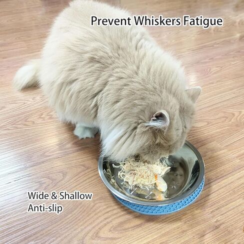 Stainless Steel Cat Feeder, 6.14 inch Wide Shallow Cat Bowls with Whisker Relief, Includes Non-Slip Placemat, Set of 8 for Small Dog & Cat in Kuwait