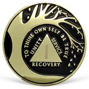 15 Year Sobriety Coin Tree of Life AA Coin Alcoholics Anonymous Medallion Fifteen Year Sober Chip Anniversary Token Sobriety Gifts for Women Men Celebrating Sobriety