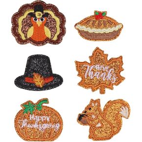 Thanksgiving Iron on Patches 6Pcs Pumpkin Turkey Embroidered Patches Fall Maple Leaf Applique Patches for Clothes Jeans Hats Backpacks DIY Crafts Accessories