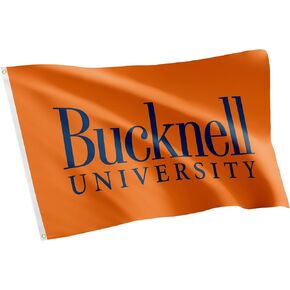 Desert Cactus Bucknell University Flag Bison Banners 100% Polyester Indoor Outdoor 3x5 feet Flags (Style 8)