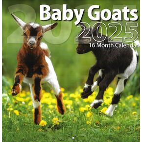 Bachmann Press 2025 Baby Goats Full Size Wall Calendar for Planning, Scheduling, and Organizing