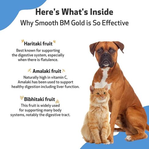 Pet Wellbeing Smooth BM Gold للقطط - تخفيف الإمساك اللطيف للقطط - مكمل عشبي طبيعي 2 أونصة (59 مل) in Kuwait