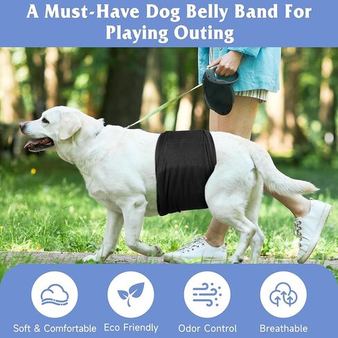 Premium Male Dog Wraps - High Absorbency Male Dog Diapers (Pack of 3) - Washable Belly Band for Male Dogs Incontinence and Puppy Training (Bear, XS) in Kuwait