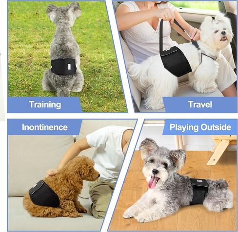 Premium Male Dog Wraps - High Absorbency Male Dog Diapers (Pack of 3) - Washable Belly Band for Male Dogs Incontinence and Puppy Training (Bear, XS) in Kuwait