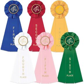 Hodges Badge Company Equestrian Rosette Award Ribbon Set - 1st- 6th - Made in USA