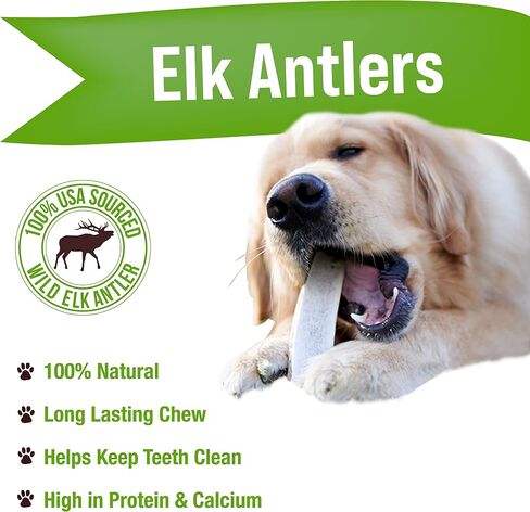 Buck Bone Organics Elk Antler Split Dog Chew (Medium) in Saudi Arabia