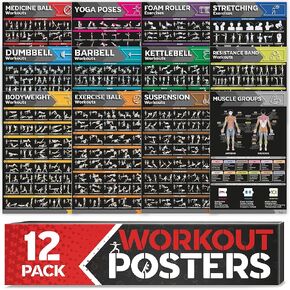 [12-PACK] Laminated Large Workout Poster Set - Perfect Workout Posters for Home Gym - Exercise Charts Incl. Dumbbell, Yoga Poses, Resistance Band, Kettlebell, Stretching & More Fitness Gym Posters