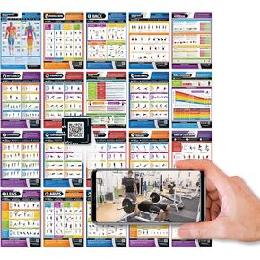 Workout Posters for Home Gym (Set of 20) - Extra Large 33" x 23.5" - Muscle Group Gym Poster - FREE Video Training Support - Exercise Posters - Dumbbell, Resistance Bands, Kettlebell - Home Workout Chart