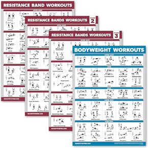 مجموعة من 4 قطع من Palace Learning - ملصقات لتمرين أشرطة المقاومة المجلد 1 و2 و3 + مخطط تمارين وزن الجسم (مصفح، 18 بوصة × 24 بوصة) in Kuwait