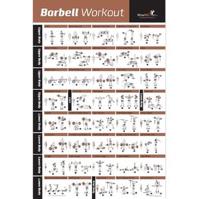 NewMe Fitness Workout Posters for Home Gym - Exercise Posters for Full Body Workout - Core, Abs, Legs, Glutes & Upper Body Training Program