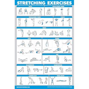 QuickFit Stretching Workout Exercise Poster - Stretch Routine (Laminated, 18in x 27in) for Playroom