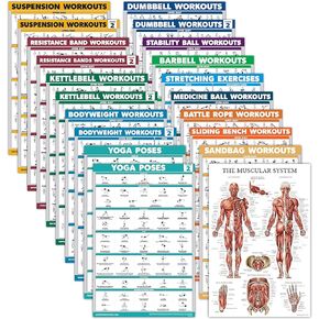 Palace Learning 20 Pack - Exercise Poster Set: Dumbbell, Suspension, Battle Rope, Stretching, Bodyweight, Barbell, Yoga, Exercise Ball, Muscular, Kettlebell, Resistance Bands and More