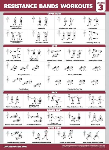 مجموعة من 4 قطع من Palace Learning - ملصقات لتمرين أشرطة المقاومة المجلد 1 و2 و3 + مخطط تمارين وزن الجسم (مصفح، 18 بوصة × 24 بوصة) in Kuwait
