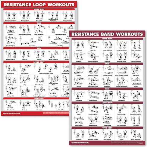 QUICKFIT 2 Pack - ملصقات تجريب لأشرطة المقاومة وحلقات المقاومة - مجموعة من 2 مخططات مغلفة - أنابيب وحلقات لتمارين المقاومة (مصفحة، 18 بوصة × 24 بوصة) in Saudi Arabia