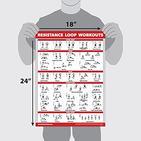 QUICKFIT 2 Pack - ملصقات تجريب لأشرطة المقاومة وحلقات المقاومة - مجموعة من 2 مخططات مغلفة - أنابيب وحلقات لتمارين المقاومة (مصفحة، 18 بوصة × 24 بوصة) in Saudi Arabia