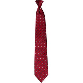 CLIPON-128 - Mens Clip On pre made Paisley Designer Necktie