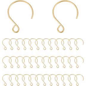 UNICRAFTALE 50Pcs 18K Gold Plated Ear Wires Stainless Steel Earring Hooks 19mm Long Metal Fish Hook Earring with Horizontal Loop French Earring Supplies for DIY Earring Jewelry Making 2.5mm Hole