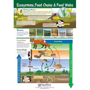 NewPath Ecosystems, Food Chains and Food Webs Poster - Laminated, Full-Color, 23" x 35" (34-6111)