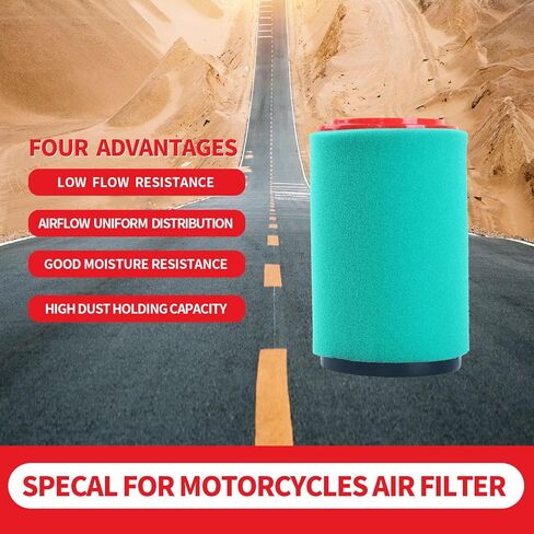Air filter 1P0-E4450-00-00 4XE-E4450-00-00 for Yamaha replace air filter for Yamaha Bruin 250 YFM250B,Big Bear 250 YFM250B,Bear Tracker 250 YFM250B,Big Bear 400 YFM400,Big Bear 400 IRS YFM400FB in Kuwait