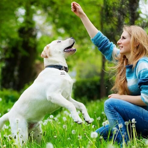 200 قطعة من علامات الحافة المعدنية، علامات ورقية مستديرة من BetterJonny مقاس 31 مم مع حلقات مقسمة مزدوجة الجانب بيضاء فارغة معدنية ذات حواف معدنية لمفاتيح السيارة ومفاتيح الأبواب in Saudi Arabia