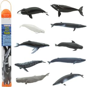 Safari Ltd. Whales TOOB - 10 Mini Plastic Whale Figurines - Educational Ocean Animal Toy Figure Set for Boys, Girls and Kids Ages 3+