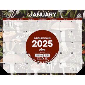 Willow Creek Press Mushrooms Monthly 2025 Deskpad Calendar (22" x 17")
