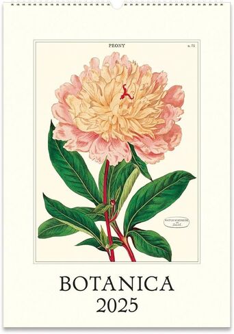 كافاليني 2025 وول بوتانيكا in Kuwait