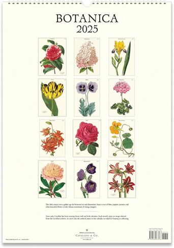 كافاليني 2025 وول بوتانيكا in Kuwait