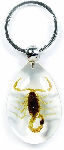 REALBUG سلسلة مفاتيح خنفساء شافر خضراء شفافة in Saudi Arabia