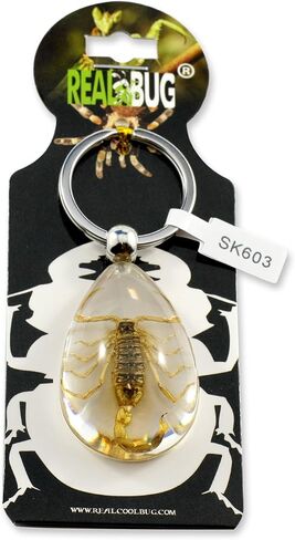 REALBUG سلسلة مفاتيح خنفساء شافر خضراء شفافة in Saudi Arabia