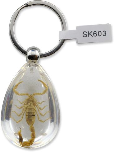 REALBUG سلسلة مفاتيح خنفساء شافر خضراء شفافة in Saudi Arabia