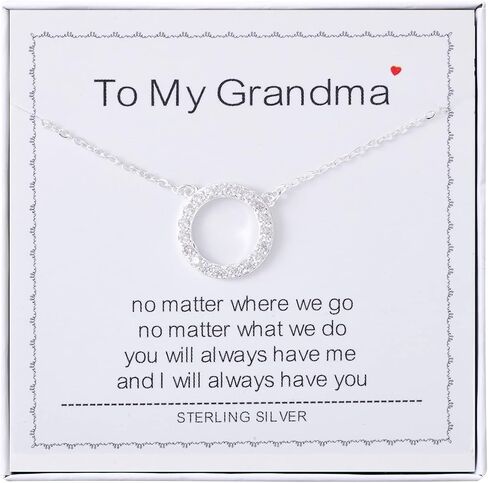 Bonus Sister Gifts - Sterling Silver Simple Circle Necklace Bezel Pendant Sparkly Cubic Zirconia Halo Necklaces for Women Girls in Saudi Arabia