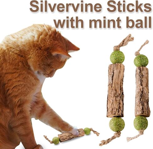 Silvervine Sticks Catnip Toys for Cats, 3 Pack, Interactive Indoor Cat Toy for Teeth Cleaning, Natural Matatabi Chew Treat for Aggressive Chewers in Saudi Arabia