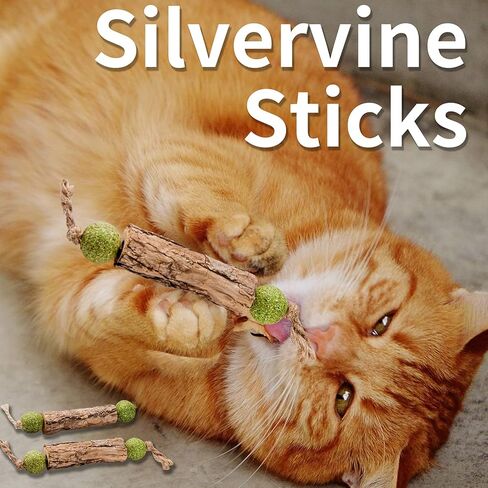 Silvervine Sticks Catnip Toys for Cats, 3 Pack, Interactive Indoor Cat Toy for Teeth Cleaning, Natural Matatabi Chew Treat for Aggressive Chewers in Saudi Arabia