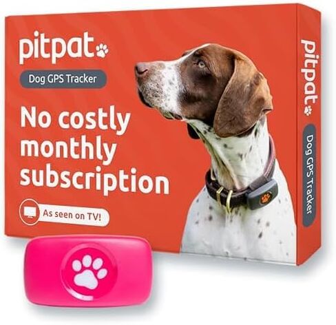جهاز تعقب PitPat GPS للكلاب - بدون رسوم اشتراك - مناسب لجميع الكلاب ويناسب جميع الأطواق - جهاز تعقب ذكي للأنشطة، تتبع عبر الأقمار الصناعية مع نطاق غير محدود - جهاز تعقب الحيوانات الأليفة مقاوم للماء بنسبة 100% (أخضر) in Saudi Arabia