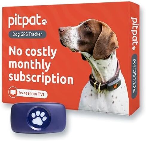 جهاز تعقب PitPat GPS للكلاب - بدون رسوم اشتراك - مناسب لجميع الكلاب ويناسب جميع الأطواق - جهاز تعقب ذكي للأنشطة، تتبع عبر الأقمار الصناعية مع نطاق غير محدود - جهاز تعقب الحيوانات الأليفة مقاوم للماء بنسبة 100% (أخضر) in Saudi Arabia