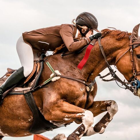 محصول ركوب الخيل Coolrunner مقاس 19 بوصة للحصان، مجداف جلدي بمقبض خشبي مضاد للانزلاق، محاصيل الفروسية، محاصيل سوداء للخيول in Saudi Arabia