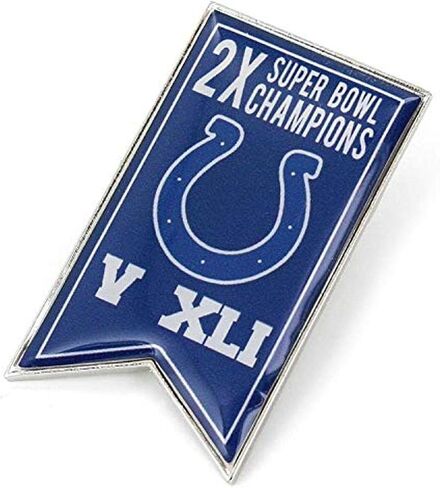 aminco NFL unisex-adult NFL Championship Banner Pin in Saudi Arabia