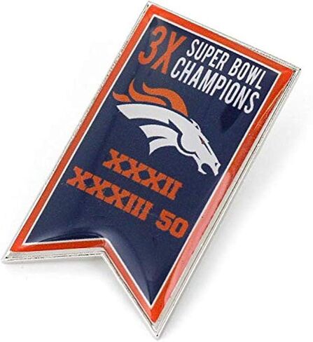 aminco NFL unisex-adult NFL Championship Banner Pin in Saudi Arabia