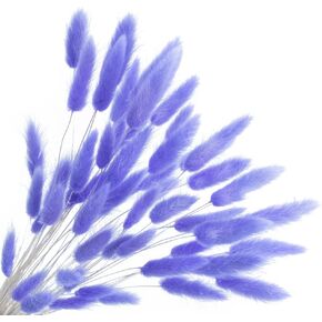 JOJAZE 60pcs Dried Bunny Tails Flowers Pink Pampas Grass Natural Dried Floral Arrangement Dry Flowers for Halloween Christmas Boho Decor Home Wedding DIY