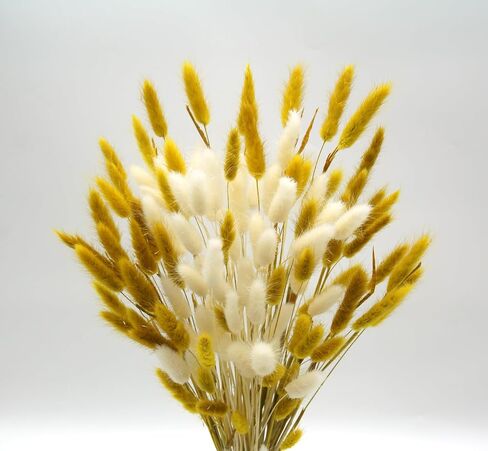 JOJAZE 60pcs Dried Bunny Tails Flowers Pink Pampas Grass Natural Dried Floral Arrangement Dry Flowers for Halloween Christmas Boho Decor Home Wedding DIY in Saudi Arabia