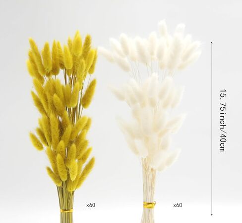 JOJAZE 60pcs Dried Bunny Tails Flowers Pink Pampas Grass Natural Dried Floral Arrangement Dry Flowers for Halloween Christmas Boho Decor Home Wedding DIY in Saudi Arabia