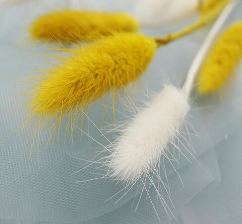 JOJAZE 60pcs Dried Bunny Tails Flowers Pink Pampas Grass Natural Dried Floral Arrangement Dry Flowers for Halloween Christmas Boho Decor Home Wedding DIY in Saudi Arabia