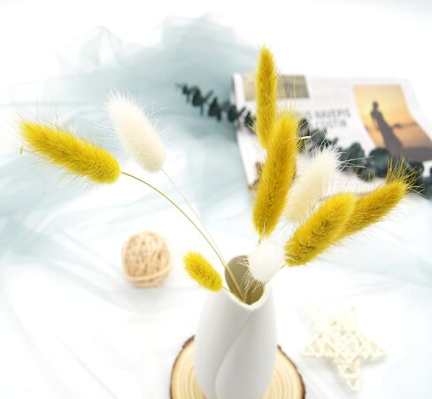 JOJAZE 60pcs Dried Bunny Tails Flowers Pink Pampas Grass Natural Dried Floral Arrangement Dry Flowers for Halloween Christmas Boho Decor Home Wedding DIY in Saudi Arabia